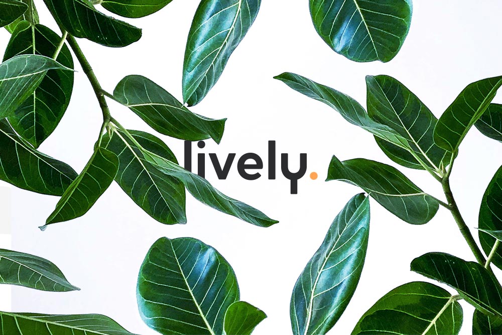 Lively app splash screen logo